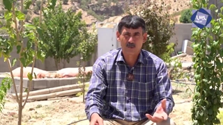 از پشم تا فرش