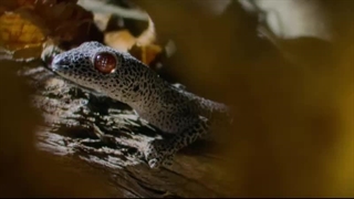 زندگی در سیاره ما ۲