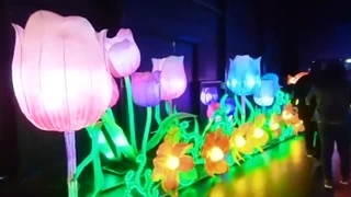 جشنواره نور ژاپن