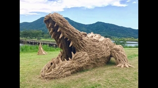 جشنواره وارا در ژاپن