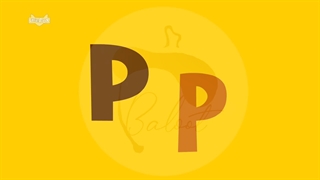 Pp