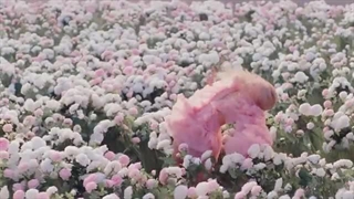 موزیک ویدیو on the ground Rose - MV