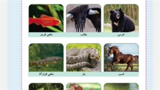 علوم سوم ابتدایی درس دوازدهم