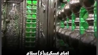 مداحی امام عسکری سلام - حاج مهدی اکبری