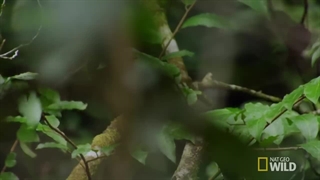 خطرناک ترین مکان های جهان