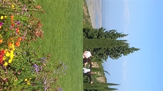 چشم انداز مقبره سنت نینو