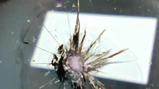 ترمیم شیشه غرب تهران در محل با سرویس رایگان 09386666514