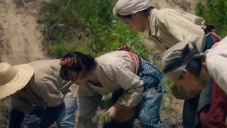 سریال پاچینکو فصل دوم قسمت 3