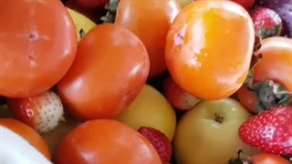 نحوه صحیح خشک کردن میوه  (تاوریس)