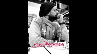 محمدرضا برمر