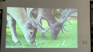 ویدئو پروژکتور استوک اپسون Epson PowerLite X12