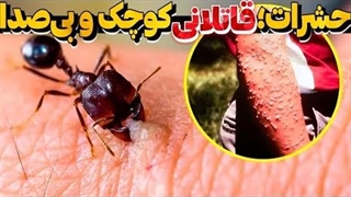 خطرناک ترین حشرات جهان که میلیون ها انسان رو به کام مرگ کشاندند
