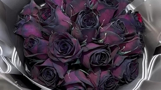 دسته گل رز مشکی 20 شاخه