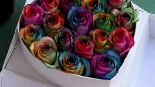 باکس گل رز هفت رنگ