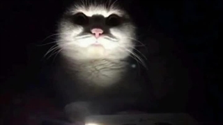 "دختر همسایه"