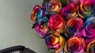 باکس 40 شاخه رز هفت رنگ و ارکیده