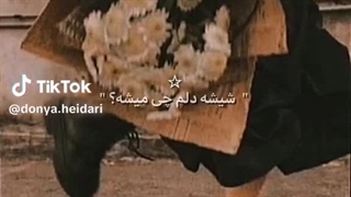 "گفتم ای یار نازنین"