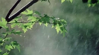 آخرین وضعیت آب و هوا؛ رگبار و رعدوبرق در مناطق شمالی و مرکزی کشور