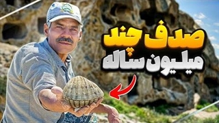 گنجینه های بیابان : کشف صدف چند میلیون ساله از بیابان که تاریخ را بازگو میکنند