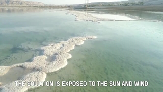 نرم کننده گرانول