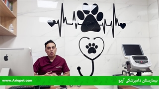 واکسیناسیون سگ ها