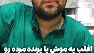 گربم برام موش آورده / کلینیک گربه میاندوآب