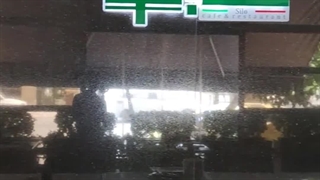 دیوار سبز طبیعی کافه رستوران سیلو 9 #گرین_وال #دیوار_سبز