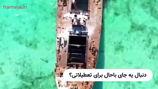 از شیرجه تا پرواز: سفر به دنیای آبی کیش