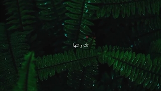 [شدم من..]
