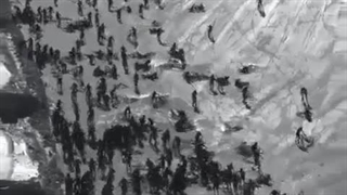 اثر پروانه ای