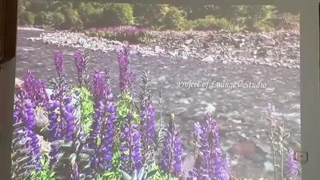 ویدئو پروژکتور دست دوم اپسون Epson Powerlite 99wh