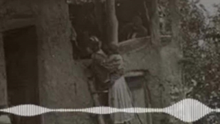 پادکست | ماجرای بمباران روستای امیر ایوب فارس توسط پهلوی