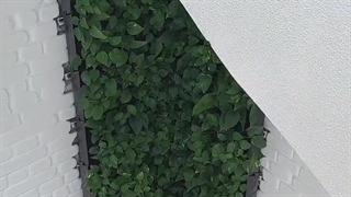 گرین وال طبیعی، اجرای دیوار سبز راه پله عمودی 11 #گرین_وال #دیوارسبز