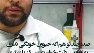 شرایط نگهداری از حیوانات خانگی / کلینیک حیوانات خانگی میاندوآب