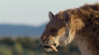 زندگی در سیاره ما ۴