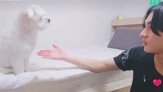 مائومی سگ پسرمو ایگنور نکنننن