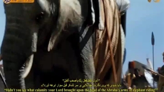 150B) کلیپ دکتر وحید تقی زاده درباره آیه قرآنی: «آیا ندیدی که پروردگارت، چه بلایی بر سر لشکر فیل سوار ابرهه آورد؟» - 1403.6.31