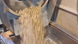 آجیل و خشکبار توانا