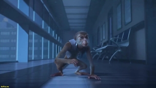 انیمه حشره طلایی The Golden Wug (Jin Can Wangshi) قسمت 17