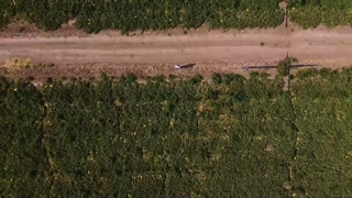 مستند زکات تایباد