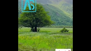 دشت دریاسر . جهت دریافت بلیط کلیک کنید https://ascharter.ir/