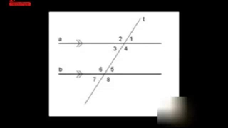 نسبیت به زبان ساده