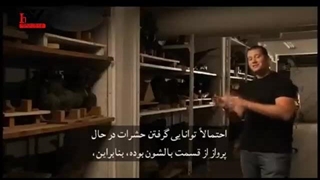 مستند تکامل پرواز