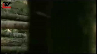 صنعت چوب ، بیشتر بشناسیم