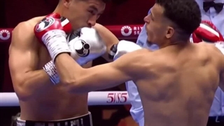 دانلود رایگان بوکسور ایرانی و خارجی