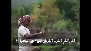 تلاش برای چی؟