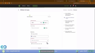 کیف پول گرین چنج - راهنمای استفاده از ولت های «greenchange»