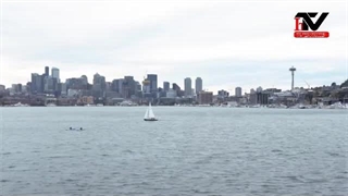 مستند بیل گیتس