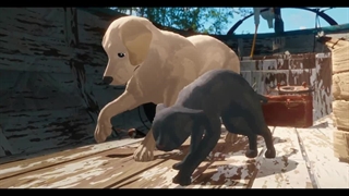 دانلود انیمیشن جریان Flow 2024