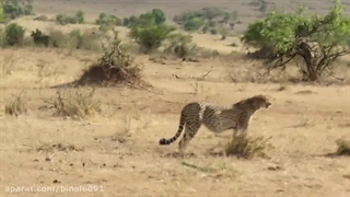 پارک های ملی کنیا